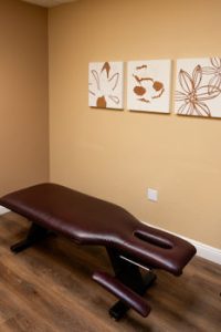 Gilroy Chiropractor